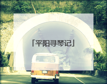 平阳寻琴记