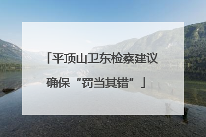 平顶山卫东检察建议确保“罚当其错”