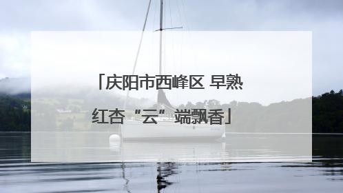 庆阳市西峰区 早熟红杏“云”端飘香