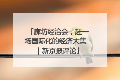 廊坊经洽会，赶一场国际化的经济大集｜新京报评论