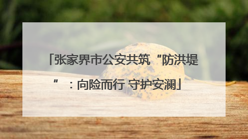 张家界市公安共筑“防洪堤”：向险而行 守护安澜
