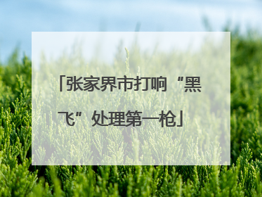 张家界市打响“黑飞”处理第一枪
