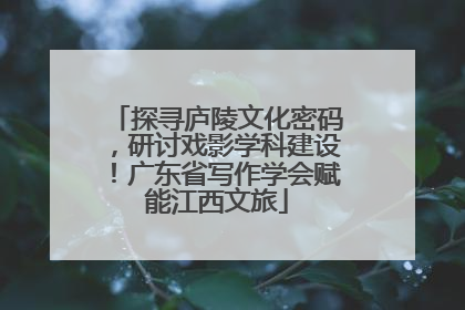 探寻庐陵文化密码，研讨戏影学科建设！广东省写作学会赋能江西文旅
