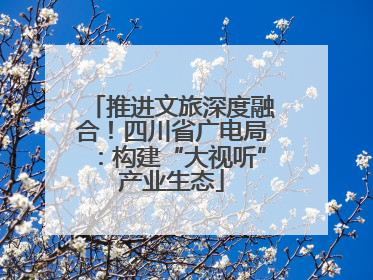 推进文旅深度融合！四川省广电局：构建“大视听”产业生态