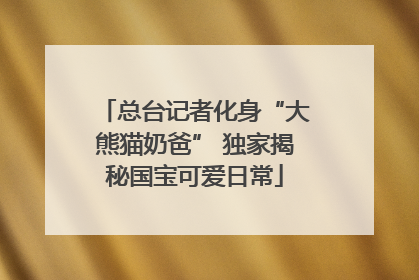 总台记者化身“大熊猫奶爸” 独家揭秘国宝可爱日常