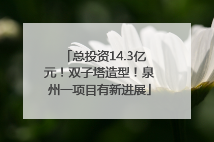 总投资14.3亿元！双子塔造型！泉州一项目有新进展