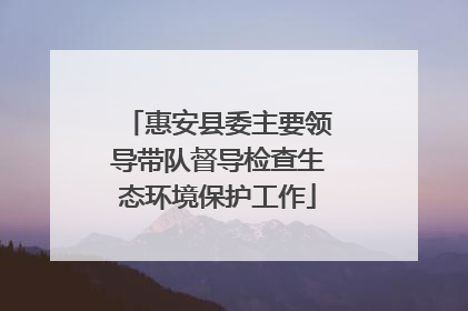 惠安县委主要领导带队督导检查生态环境保护工作