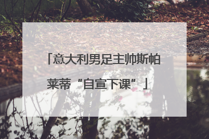 意大利男足主帅斯帕莱蒂“自宣下课”