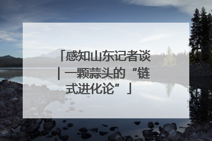 感知山东记者谈｜一颗蒜头的“链式进化论”