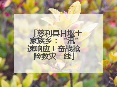 慈利县甘堰土家族乡：“汛”速响应！奋战抢险救灾一线