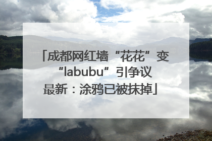 成都网红墙“花花”变“labubu”引争议 最新：涂鸦已被抹掉