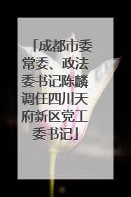 成都市委常委、政法委书记陈麟调任四川天府新区党工委书记