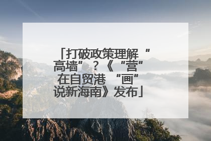 打破政策理解“高墙”？《“营”在自贸港 “画”说新海南》发布