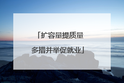 扩容量提质量 多措并举促就业