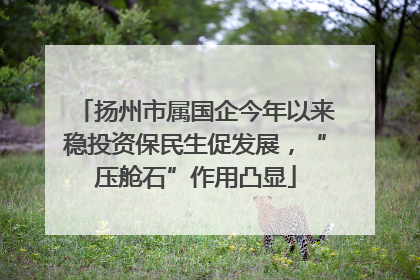 扬州市属国企今年以来稳投资保民生促发展，“压舱石”作用凸显