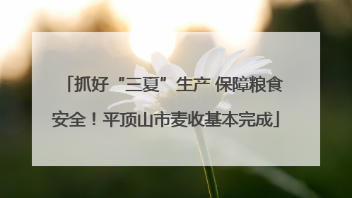 抓好“三夏”生产 保障粮食安全！平顶山市麦收基本完成