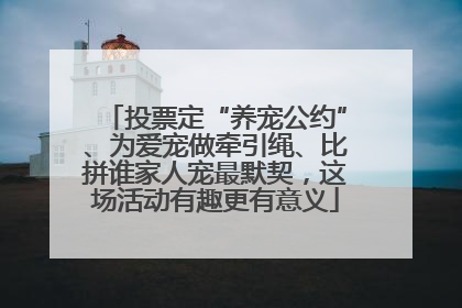 投票定“养宠公约”、为爱宠做牵引绳、比拼谁家人宠最默契，这场活动有趣更有意义