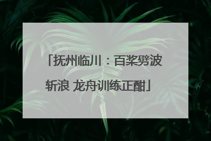 抚州临川：百桨劈波斩浪 龙舟训练正酣