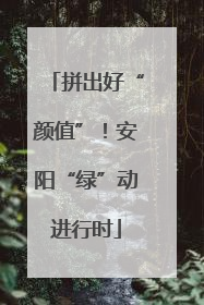 拼出好“颜值”！安阳“绿”动进行时