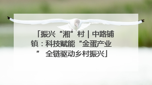 振兴“湘”村｜中路铺镇：科技赋能“金蛋产业” 全链驱动乡村振兴
