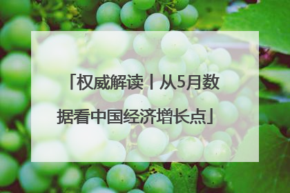权威解读丨从5月数据看中国经济增长点