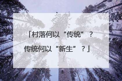 村落何以“传统”？传统何以“新生”？