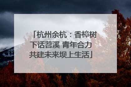 杭州余杭：香樟树下话苕溪 青年合力共建未来坝上生活