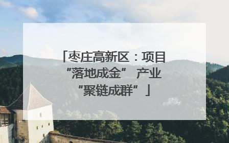 枣庄高新区：项目“落地成金” 产业“聚链成群”