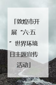 敦煌市开展“六·五”世界环境日主题宣传活动