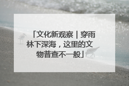 文化新观察｜穿雨林下深海，这里的文物普查不一般