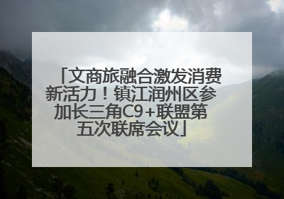 文商旅融合激发消费新活力！镇江润州区参加长三角C9+联盟第五次联席会议