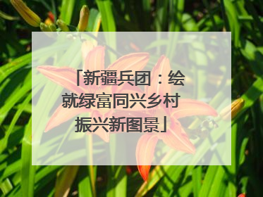 新疆兵团：绘就绿富同兴乡村振兴新图景