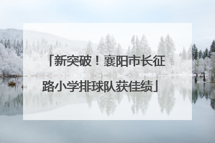 新突破！襄阳市长征路小学排球队获佳绩