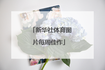 新华社体育图片每周佳作