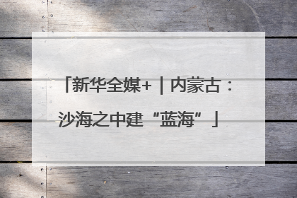 新华全媒+｜内蒙古：沙海之中建“蓝海”