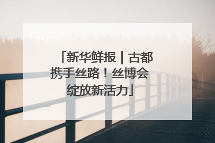新华鲜报｜古都携手丝路！丝博会绽放新活力