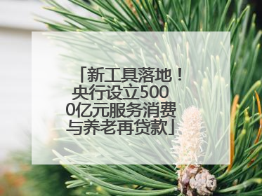 新工具落地！央行设立5000亿元服务消费与养老再贷款
