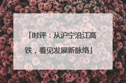 时评：从沪宁沿江高铁，看见发展新脉络
