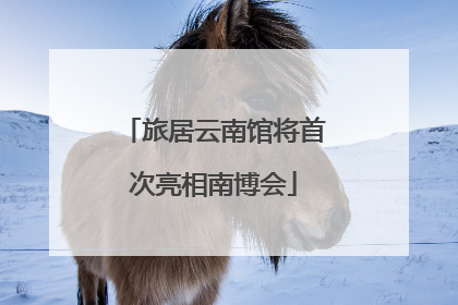 旅居云南馆将首次亮相南博会