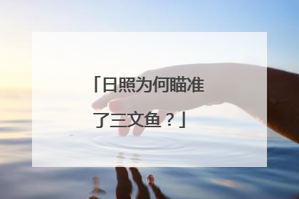 日照为何瞄准了三文鱼？