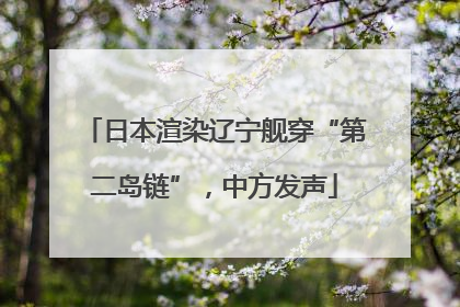 日本渲染辽宁舰穿“第二岛链”，中方发声