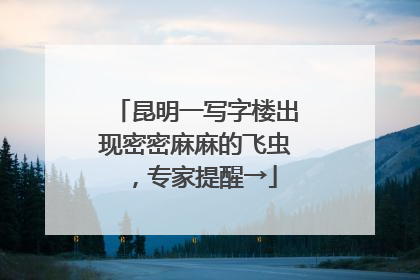 昆明一写字楼出现密密麻麻的飞虫，专家提醒→