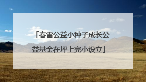 春雷公益小种子成长公益基金在坪上完小设立