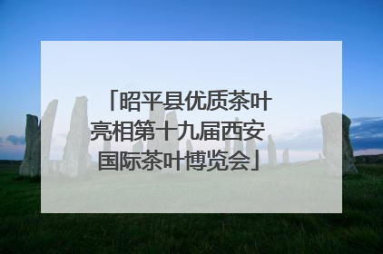 昭平县优质茶叶亮相第十九届西安国际茶叶博览会