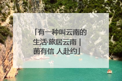 有一种叫云南的生活·旅居云南｜菌有信 人赴约