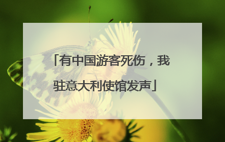 有中国游客死伤，我驻意大利使馆发声