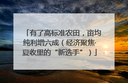 有了高标准农田，亩均纯利增六成（经济聚焦·夏收里的“新选手”）