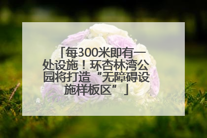 每300米即有一处设施！环杏林湾公园将打造“无障碍设施样板区”