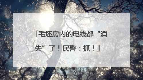 毛坯房内的电线都“消失”了！民警：抓！