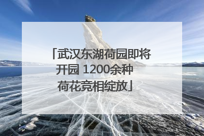 武汉东湖荷园即将开园 1200余种荷花竞相绽放